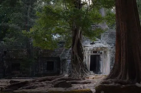  Wanggongmiao Reliquary Ruins: Muinaisten hautojen ja mystinen energia!